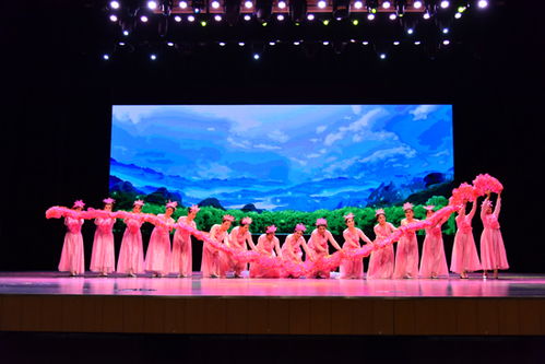 首届 爱莲杯 全国中老年文艺汇演总决赛在京举办